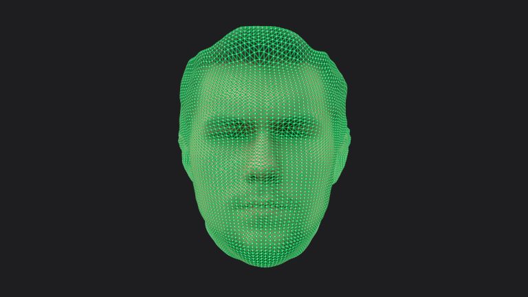 3D mesh of human face