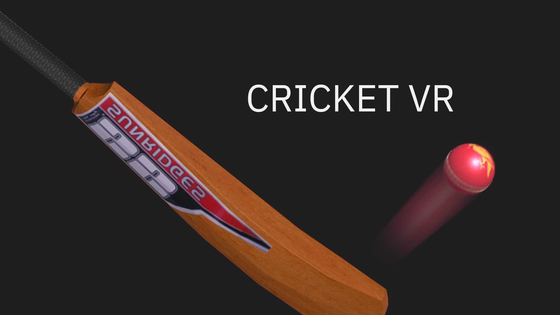 Cricket VR case video thumbnail